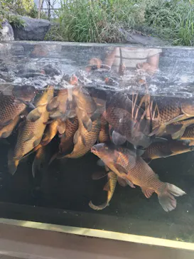 仙台うみの杜水族館に投稿された画像（2025/10/21）