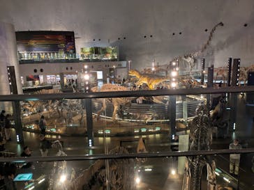 福井県立恐竜博物館に投稿された画像（2025/10/21）
