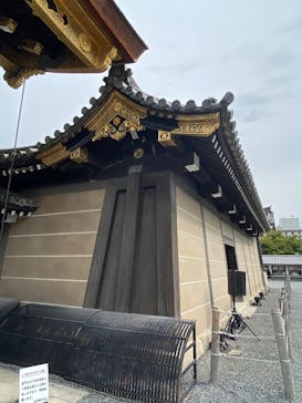 元離宮二条城に投稿された画像（2025/10/21）