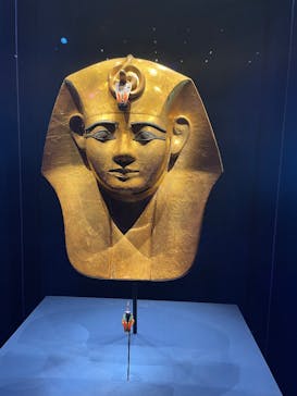 ACN ラムセス大王展 ファラオたちの黄金に投稿された画像（2025/10/21）