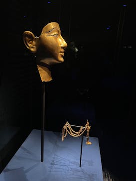 ACN ラムセス大王展 ファラオたちの黄金に投稿された画像（2025/10/21）