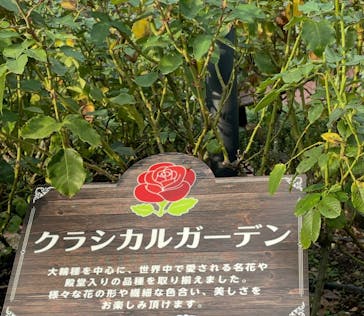 西武園ゆうえんちに投稿された画像（2025/10/21）