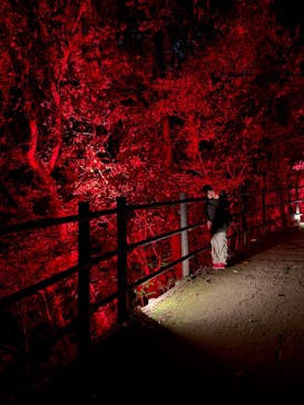 ニジゲンノモリに投稿された画像（2025/10/21）