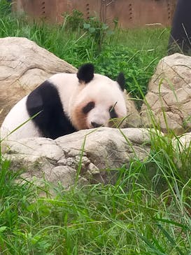 恩賜上野動物園に投稿された画像（2025/10/21）