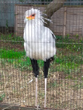 恩賜上野動物園に投稿された画像（2025/10/21）