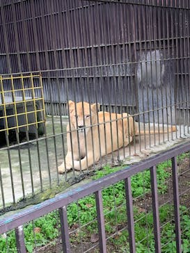 東北サファリパークに投稿された画像（2025/10/21）