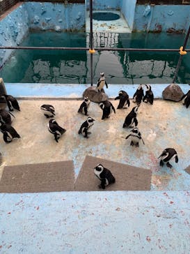 東北サファリパークに投稿された画像（2025/10/21）