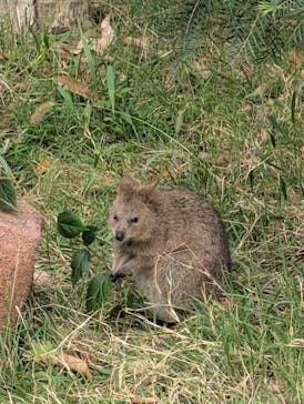 こども動物自然公園（埼玉県公園緑地協会）に投稿された画像（2025/10/21）