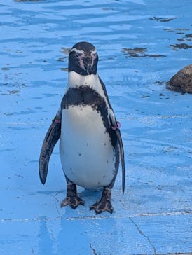 こども動物自然公園（埼玉県公園緑地協会）に投稿された画像（2025/10/21）