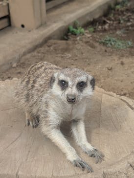 こども動物自然公園（埼玉県公園緑地協会）に投稿された画像（2025/10/21）