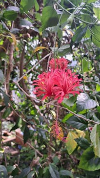 熱川バナナワニ園に投稿された画像（2025/10/21）