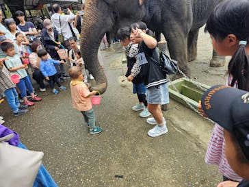 ANIMAL WONDER REZOURT 市原ぞうの国・サユリワールドに投稿された画像（2025/10/22）