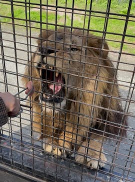 那須サファリパークに投稿された画像（2025/10/22）