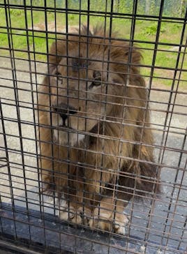 那須サファリパークに投稿された画像（2025/10/22）