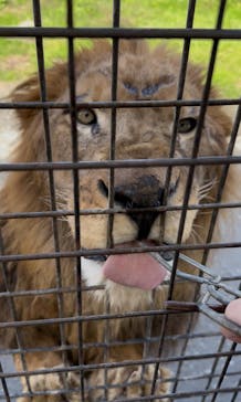 那須サファリパークに投稿された画像（2025/10/22）