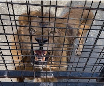 那須サファリパークに投稿された画像（2025/10/22）