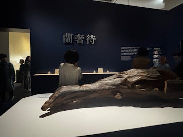 正倉院 THE SHOW ―感じる。いま、ここにある奇跡―　@上野の森美術館に投稿された画像（2025/10/22）