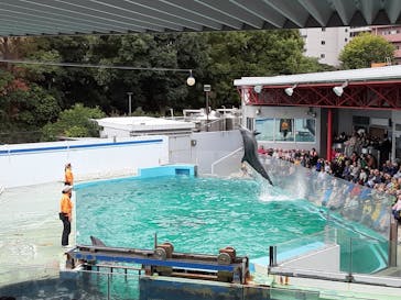 しながわ水族館に投稿された画像（2025/10/22）