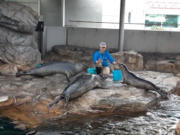 しながわ水族館に投稿された画像（2025/10/22）
