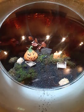 しながわ水族館に投稿された画像（2025/10/22）