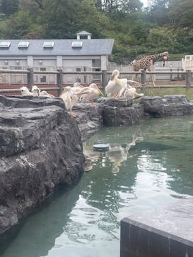 多摩動物公園に投稿された画像（2025/10/22）