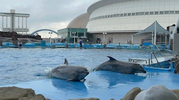 名古屋港水族館に投稿された画像（2025/10/22）
