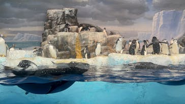 名古屋港水族館に投稿された画像（2025/10/22）