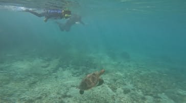 ON SHORE（オンショア）に投稿された画像（2025/10/22）