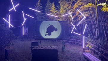 ニジゲンノモリに投稿された画像（2025/10/22）