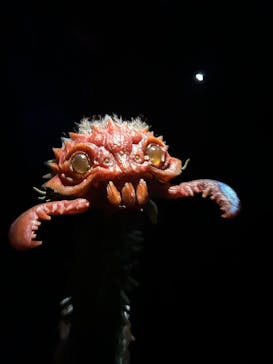 金曜ロードショーとジブリ展（静岡展）に投稿された画像（2025/10/22）