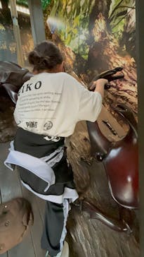 モビリティリゾートもてぎに投稿された画像（2025/10/22）