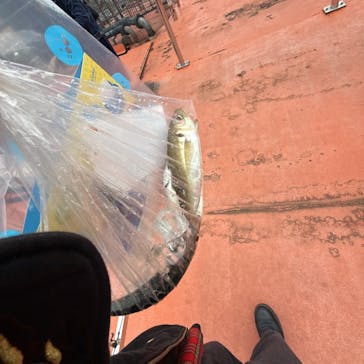 横浜・八景島シーパラダイスに投稿された画像（2025/10/22）