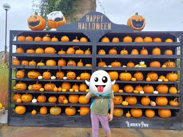 ひらかたパークに投稿された画像（2025/10/22）