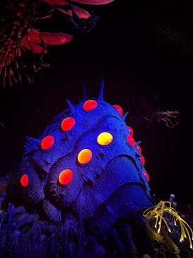 金曜ロードショーとジブリ展（静岡展）に投稿された画像（2025/10/22）