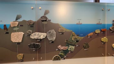 国立科学博物館に投稿された画像（2025/10/22）