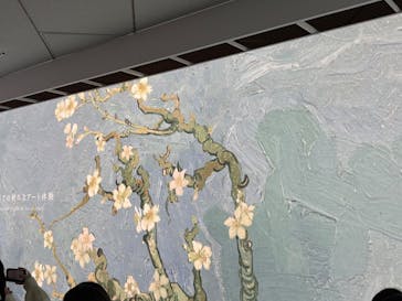 ゴッホ展　家族がつないだ画家の夢（東京都美術館）に投稿された画像（2025/10/22）