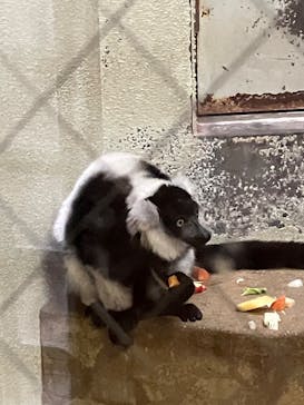 天王寺動物園に投稿された画像（2025/10/22）