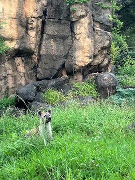 天王寺動物園に投稿された画像（2025/10/22）