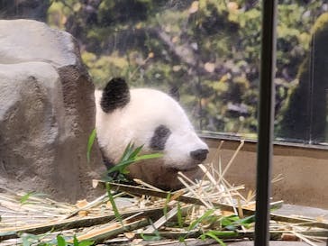 恩賜上野動物園に投稿された画像（2025/10/22）