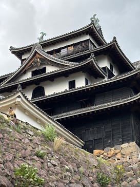 松江城に投稿された画像（2025/10/22）