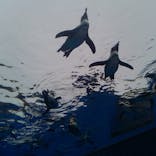 サンシャイン水族館に投稿された画像（2025/10/22）