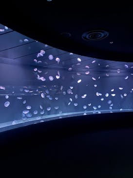 サンシャイン水族館に投稿された画像（2025/10/22）