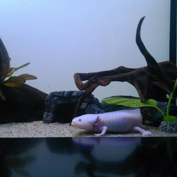 サンシャイン水族館に投稿された画像（2025/10/22）