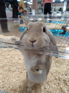 いきもの探検隊上尾に投稿された画像（2025/10/22）