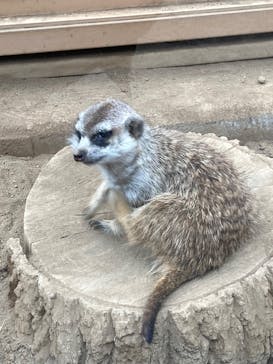 こども動物自然公園（埼玉県公園緑地協会）に投稿された画像（2025/10/22）