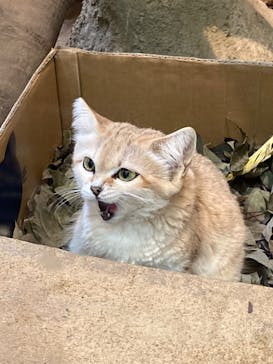 こども動物自然公園（埼玉県公園緑地協会）に投稿された画像（2025/10/22）