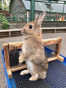 こども動物自然公園（埼玉県公園緑地協会）に投稿された画像（2025/10/22）