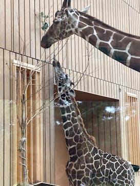 こども動物自然公園（埼玉県公園緑地協会）に投稿された画像（2025/10/22）