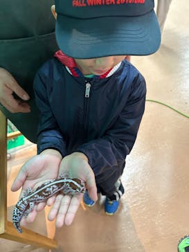 いきもの探検隊上尾に投稿された画像（2025/10/22）