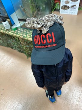 いきもの探検隊上尾に投稿された画像（2025/10/22）